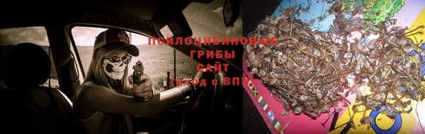 кокаин колумбия Россошь