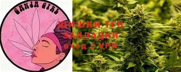 стафф Абаза
